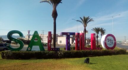 Saltillo